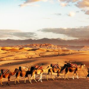 Camel ride in Agafay